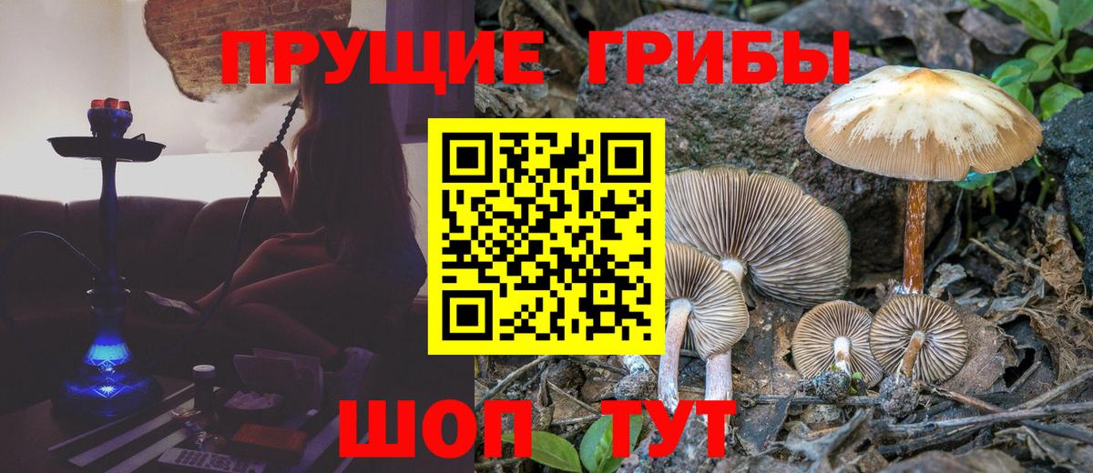 Галлюциногенные грибы Psilocybine cubensis  Вход с VPN  Урус-Мартан  хочу   Галлюциногенные грибы Magic Shrooms 